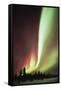 Aurora Borealis-Chris Madeley-Framed Stretched Canvas