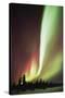 Aurora Borealis-Chris Madeley-Stretched Canvas