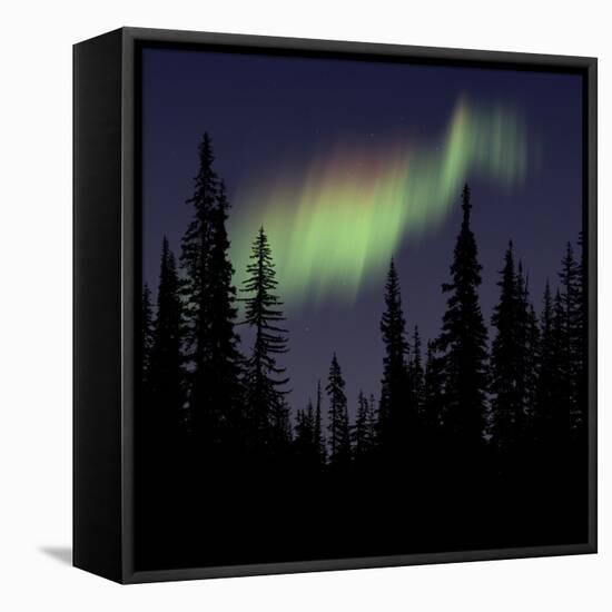 Aurora Borealis-Mark Taylor-Framed Stretched Canvas