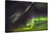 Aurora Borealis-Michael Nolan-Stretched Canvas