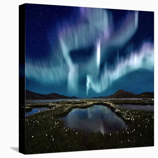 Aurora Borealis-Corepics-Stretched Canvas