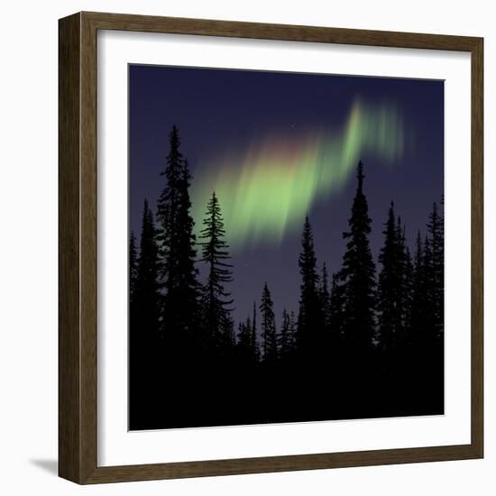 Aurora Borealis-Mark Taylor-Framed Photographic Print