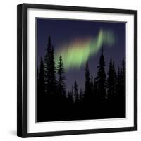 Aurora Borealis-Mark Taylor-Framed Photographic Print