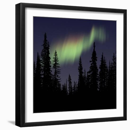 Aurora Borealis-Mark Taylor-Framed Photographic Print