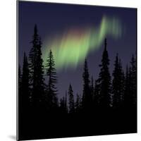 Aurora Borealis-Mark Taylor-Mounted Photographic Print