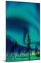 Aurora Borealis-Trends International-Mounted Poster