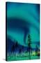 Aurora Borealis-Trends International-Stretched Canvas