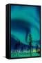 Aurora Borealis-Trends International-Framed Stretched Canvas