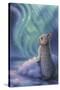 Aurora Bunny-Kirk Reinert-Stretched Canvas