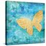 Aurora Butterfly-Paul Brent-Stretched Canvas