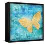 Aurora Butterfly-Paul Brent-Framed Stretched Canvas