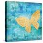 Aurora Butterfly-Paul Brent-Stretched Canvas