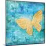 Aurora Butterfly-Paul Brent-Mounted Art Print