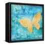 Aurora Butterfly-Paul Brent-Framed Stretched Canvas