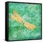 Aurora Dragonfly-Paul Brent-Framed Stretched Canvas