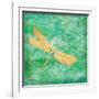 Aurora Dragonfly-Paul Brent-Framed Art Print