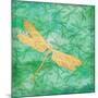 Aurora Dragonfly-Paul Brent-Mounted Art Print