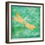 Aurora Dragonfly-Paul Brent-Framed Art Print