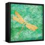 Aurora Dragonfly-Paul Brent-Framed Stretched Canvas