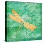 Aurora Dragonfly-Paul Brent-Stretched Canvas