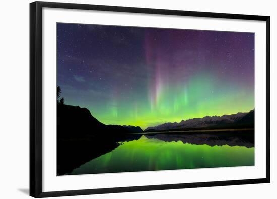 Aurora (Northern Lights) reflected in Lower Kananaskis Lake, Peter Laugheed Provincial Park, Canada-Miles Ertman-Framed Photographic Print