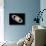 Aurora on Saturn-null-Stretched Canvas displayed on a wall
