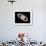 Aurora on Saturn-null-Framed Photographic Print displayed on a wall