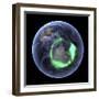 Aurora Over Antarctica, Satellite Image-null-Framed Premium Photographic Print