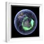 Aurora Over Antarctica, Satellite Image-null-Framed Premium Photographic Print