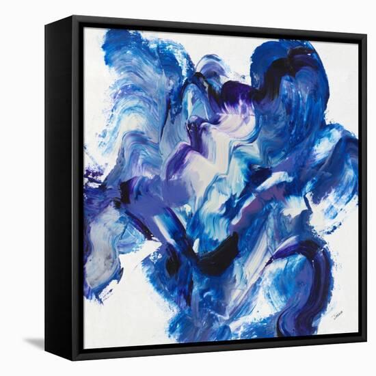 Aurora Polaris III-Jason Jarava-Framed Stretched Canvas