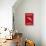 Aurora Red Salmon-null-Stretched Canvas displayed on a wall