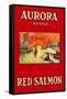 Aurora Red Salmon-null-Framed Stretched Canvas