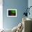 Aurora-Ursula Abresch-Framed Photographic Print displayed on a wall