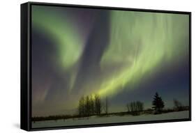 Aurora-Joss-Framed Stretched Canvas