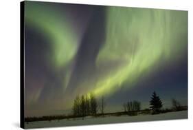 Aurora-Joss-Stretched Canvas