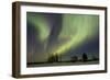 Aurora-Joss-Framed Photographic Print