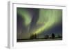 Aurora-Joss-Framed Photographic Print