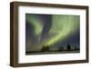 Aurora-Joss-Framed Photographic Print