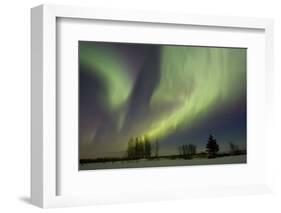 Aurora-Joss-Framed Photographic Print