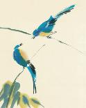 Birds-Aurore De La Morinerie-Art Print