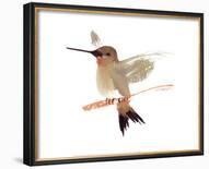 Hummingbird-Aurore De La Morinerie-Framed Art Print