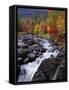 Ausable River in Autumn-James Randklev-Framed Stretched Canvas