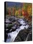 Ausable River in Autumn-James Randklev-Stretched Canvas