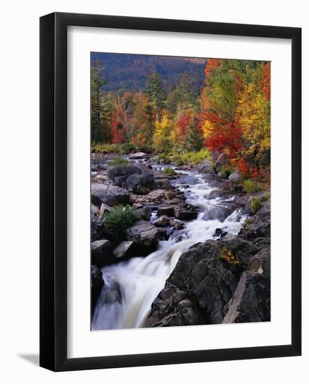 Ausable River in Autumn-James Randklev-Framed Photographic Print