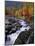 Ausable River in Autumn-James Randklev-Mounted Photographic Print