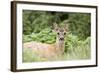 Auspicious-Susann Parker-Framed Photographic Print