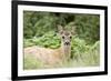 Auspicious-Susann Parker-Framed Photographic Print