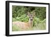 Auspicious-Susann Parker-Framed Photographic Print