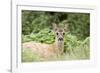 Auspicious-Susann Parker-Framed Photographic Print