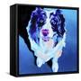 Aussie - Kokanee-Dawgart-Framed Stretched Canvas